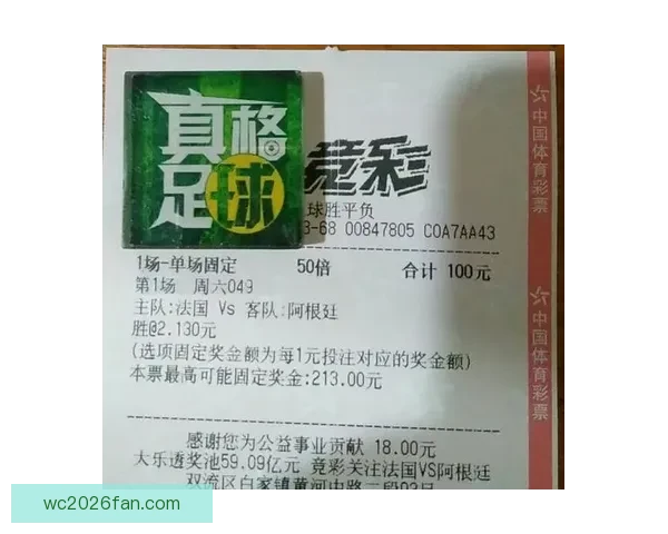 世界杯赛事深度解析与专业体育竞猜趋势全攻略